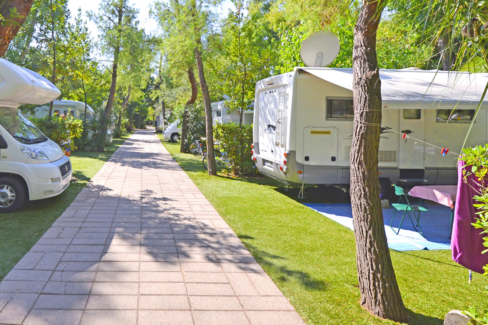 camping allées, emplacements caravane mobil-home